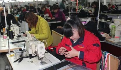 全国先进集体！东平人社彰显脱贫攻坚的“东平力量”