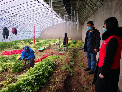 产业与保险深度融合 人保与首农共抗新冠疫情的新模式落地