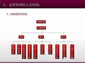 山西美特好超市品类管理策略与总公司业务承接方案